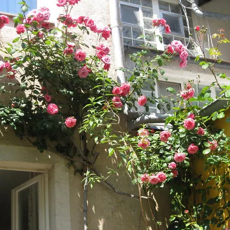 Szálloda Moeve Garni