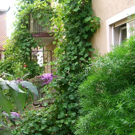 Szálloda Moeve Garni